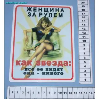 табличка Женщина за рулём 19*14,5