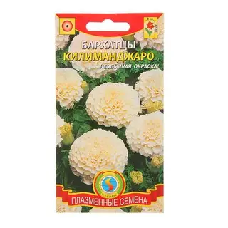 Семена цветов Бархатцы «Килиманджаро», 10 шт., «»