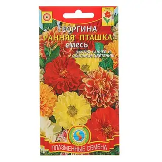 Семена цветов Георгина «Ранняя пташка», смесь, 12 шт., «»
