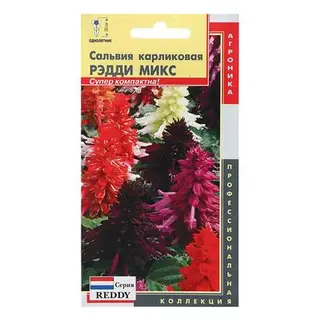 Семена цветов Сальвия карликовая "Рэдди Микс", О, 10 шт