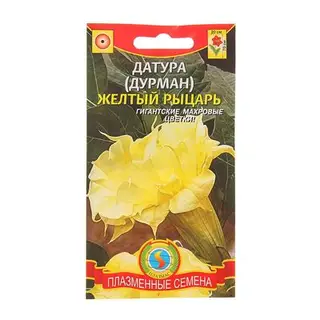 Семена Дурман (датура) «Жёлтый рыцарь», 3 шт., «»