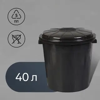 Бак хозяйственно - бытовой, 40 л, полипропилен, с крышкой, чёрный