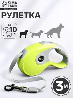 Рулетка DIIL, 3 м, до 10 кг, лента, прорезиненная ручка, зелёная