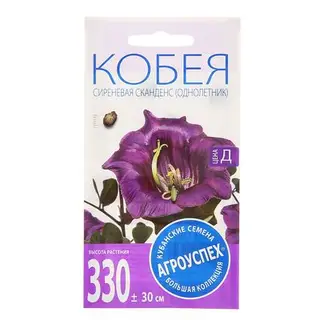 Семена цветов Кобея «Сиреневая Сканденс», 4 шт