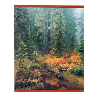 Тетрадь 48 листов клетка Beautiful nature, обложка картон хромэрзац