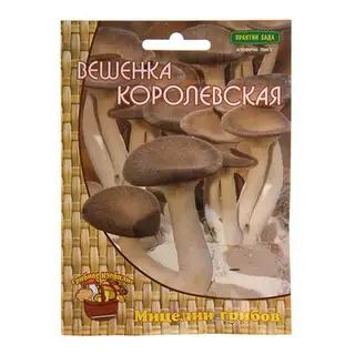 Мицелий на древесном носителе Вешенка Королевская, 12 шт