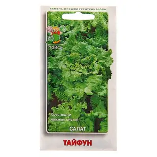 Семена Салат Тайфун, 1 г