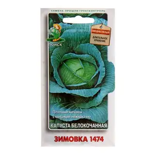Семена Капусты белокочанной "Зимовка 1474", 0,5 г