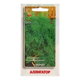 Семена Укроп Аллигатор, 2 г