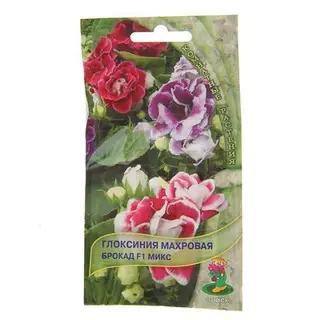 Семена комнатных цветов Глоксиния "Микс", F1, 5 шт