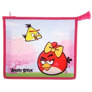 Папка для тетрадей А5 Angry Birds молния сверху, пластиковая