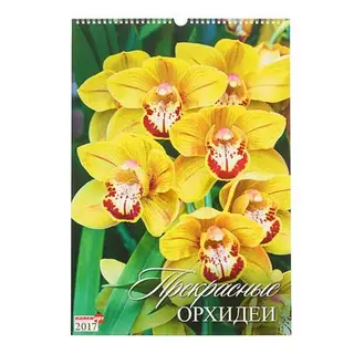 Календарь перекидной на ригеле "Прекрасные орхидеи", 34х49 см
