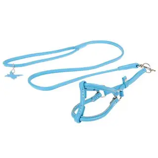 Шлейка круглая с поводком CoLLaR Glomour для кошек и мелких собак 0,6 см, ог 26-46см, ош 30-50 см, с