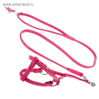 Шлейкакруглая с поводком CoLLaR Glomour для кошек и мелких собак, 0,6 см, ог 26-46см, ош 30-50 см