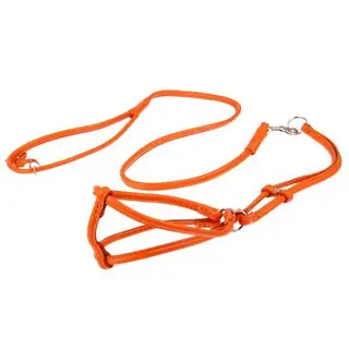 Шлейка круглая с поводком CoLLaR Glomour для кошек и мелких собак, 0,6 см, ог 42-60 см, ош 46-64 см
