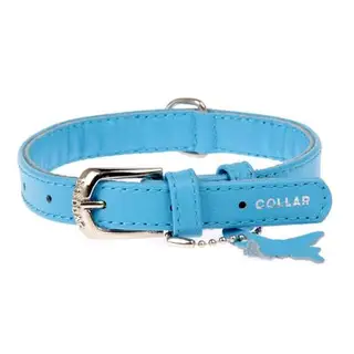 Ошейник неукрашенный CoLLaR Glomour, 27-36 х 1,5 см, синий