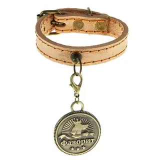 Ошейник с адресником "Фаворит", 1,5 х 25 см