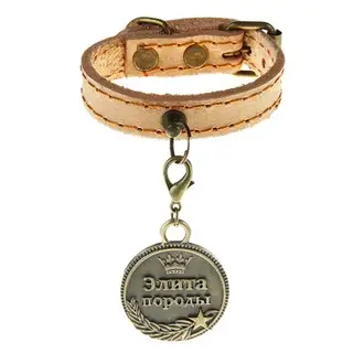 Ошейник с адресником "Элита породы", 1,5 х 25 см
