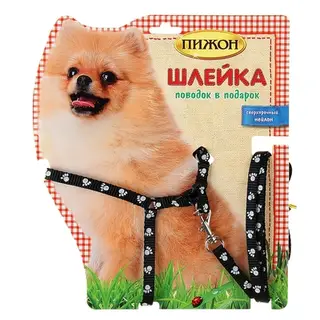 Комплект "Лапка" нейлон 1,0 х120 см и шлейка 23-37/28-40 см