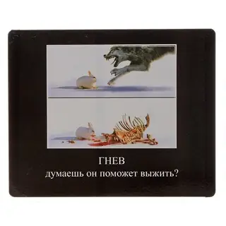 Табличка на стену - прикол "Гнев, думаешь, он поможет выжить?" с черным фоном