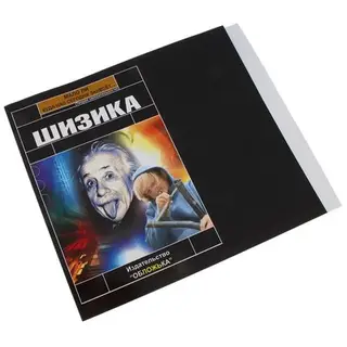 Обложка "Шизика"