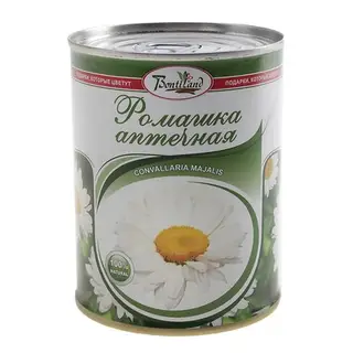 цветок в банке "Ромашка аптечная" Matricaria recutita 77002