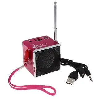 Портативная колонка мини USB/SD/FM WS-378, пластик, металл