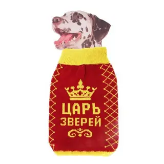 Свитер XL "Царь зверей" (ДС 38-42 см, ОГ 54-60 см)
