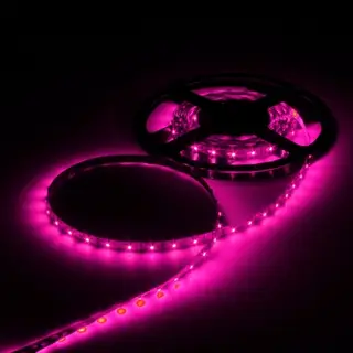 Светодиодная лента 12В, SMD3528, 5 м, IP33, 60 LED, 4.8 Вт/м, 6-7 Лм/1 LED, DC, ФИОЛЕТОВЫЙ