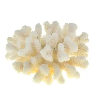 Коралл пальчиковый среднего рамера для оформ. аквариумов,UDeco Finger Coral M 1 шт