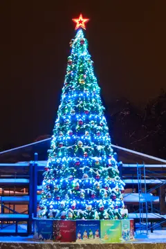 Пояс Ориона для 7м. (Комплект освещения на уличную елку высотой 7 м)