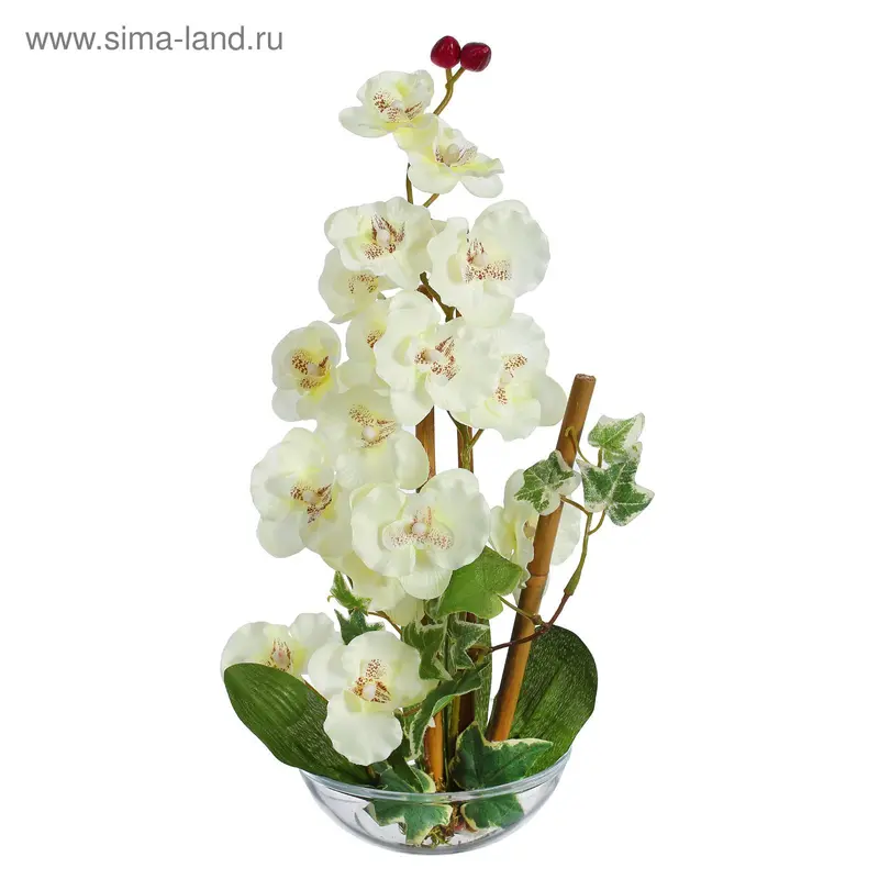 Композиция "Фантазия" 35*15 см