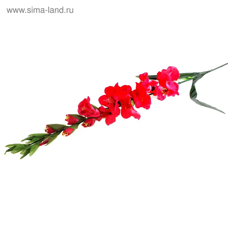 цветы 1284 гладиолус 115 см