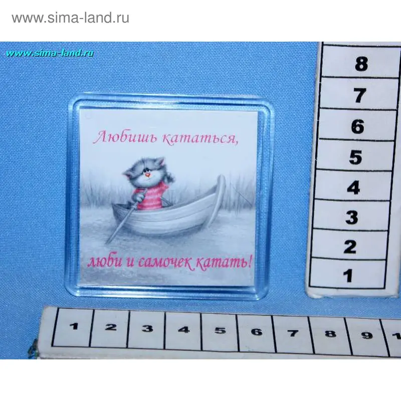 магнит стекло МП 726 котик в лодке 6,5*6,5 мин 5 шт