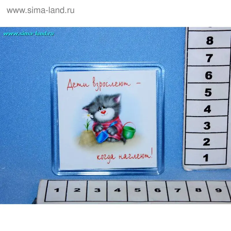 магнит стекло МП 701 котик в песочнице 6,5*6,5 мин 5 шт