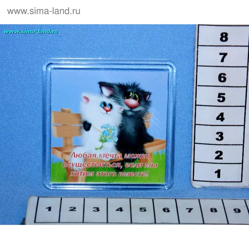 магнит стекло МП219 две кошки'' черное и белое'' мин 5 шт