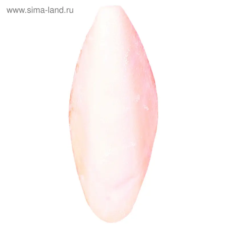 Панцирь каракатицы Trixie 50 шт., маленькие