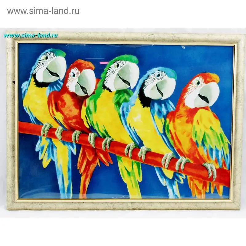 картина П-1 Попугаи 49*37