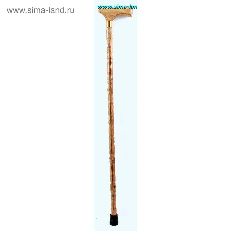 Трость
