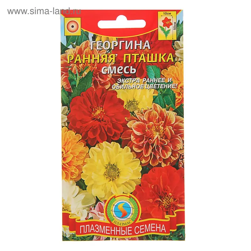 Семена цветов Георгина «Ранняя пташка», смесь, 12 шт., «»