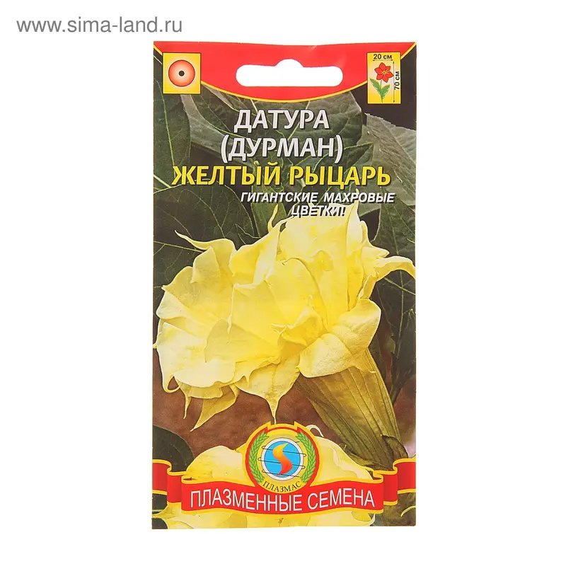 Семена Дурман (датура) «Жёлтый рыцарь», 3 шт., «»