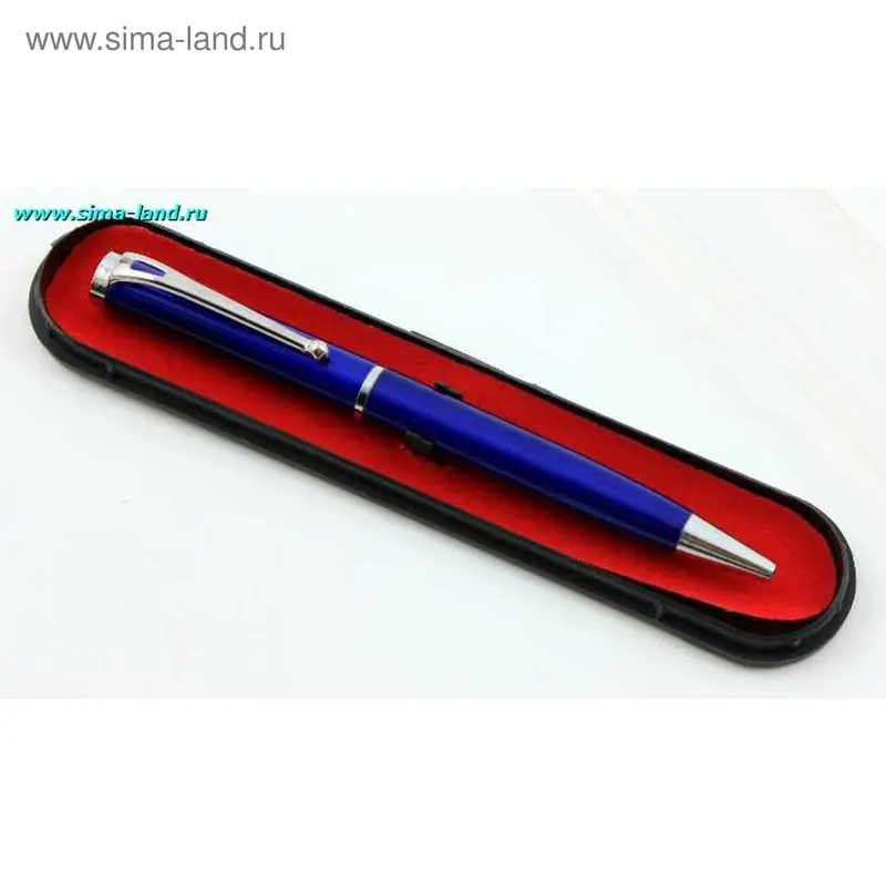 Ручка в футляре. Синяя, простая