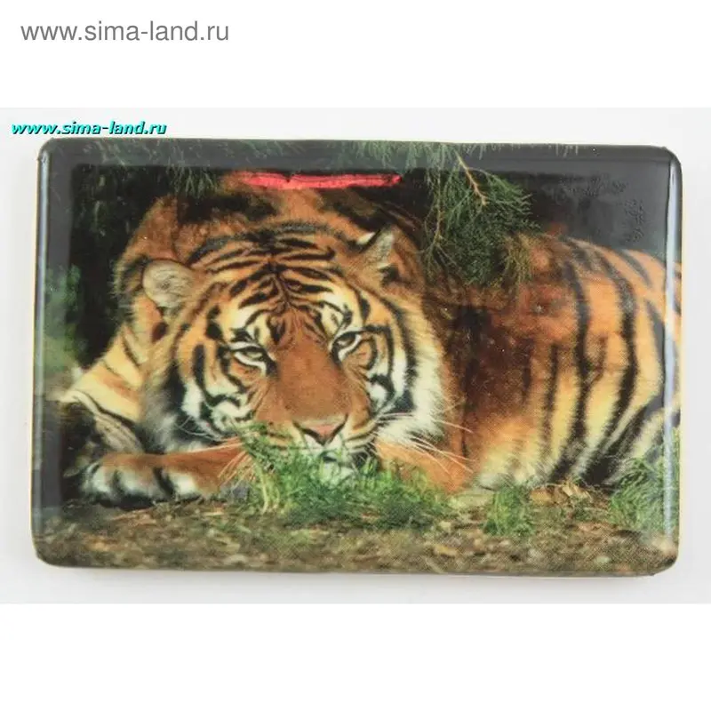 магнит тигр 1713 7,5*5 см (НАБ 12 ШТ) (БОКС 30 НАБОРОВ)