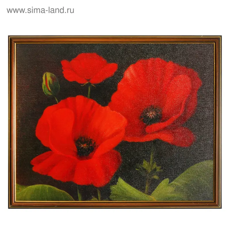 Картина "Красные маки" 43х53 см