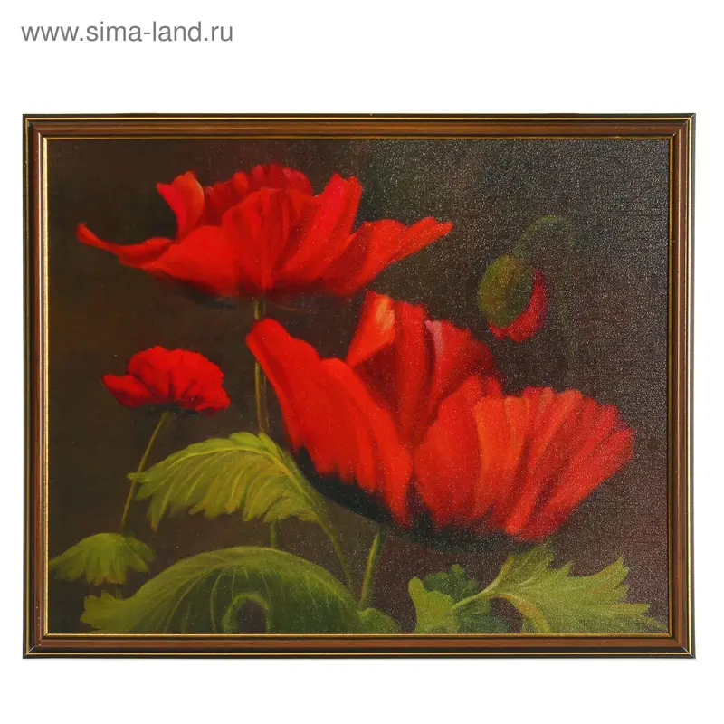 Картина "Красные цветы" 43х53 см рамка микс