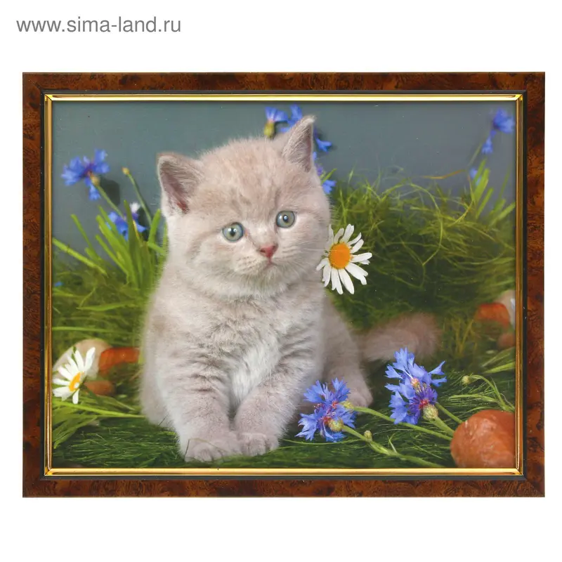 Картина "Котенок" 21х26 см рамка микс