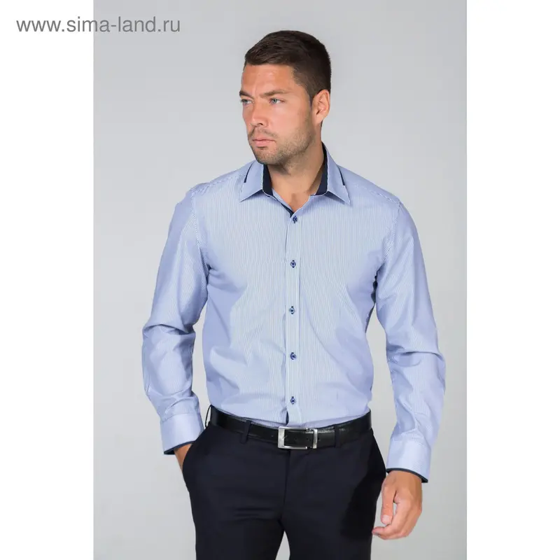 Рубашка мужская William Hurd WH-152185-SL47, slim fit, размер 42