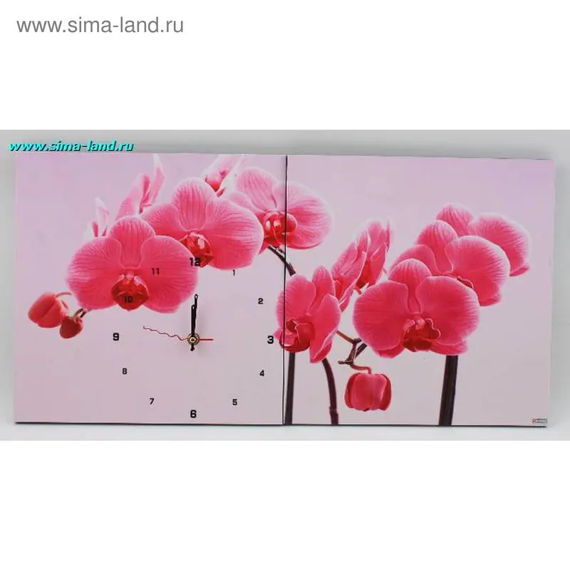 часы картина двойная орхидея 30*30 (бокс 10 шт)