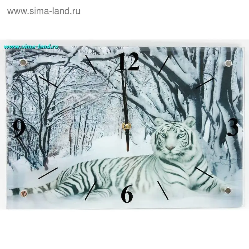 часы стекло 38*26 белый тигр (бокс 12 шт)