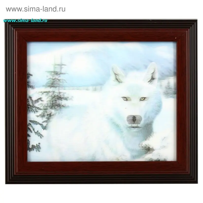 картина объемная 20*25 SLW-08014 волк альбинос